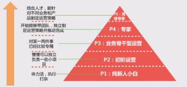 互聯網運營知識掃盲 從零開始讀懂網站運營